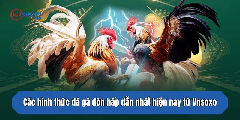 Các hình thức đá gà đòn hấp dẫn nhất hiện nay từ Vnsoxo
