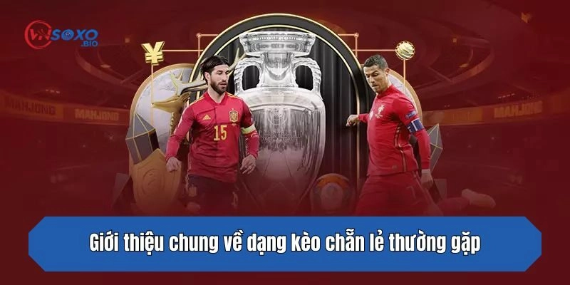 Giới thiệu chung về dạng kèo chẵn lẻ thường gặp