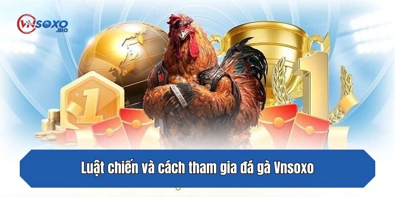 Luật chiến và cách tham gia đá gà Vnsoxo