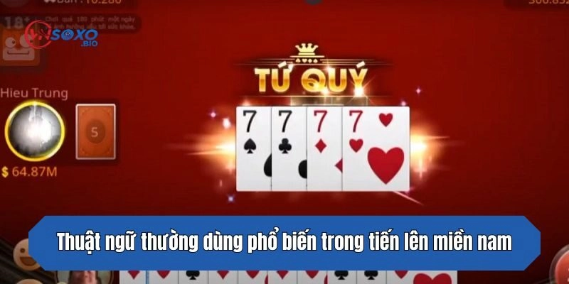 Thuật ngữ thường dùng phổ biến